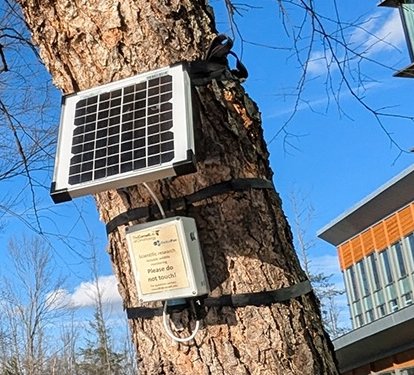 Bio-acoustic monitoring station in a wetland